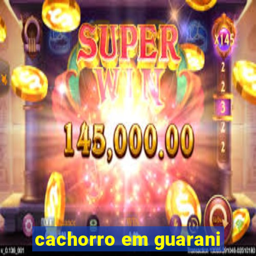 cachorro em guarani