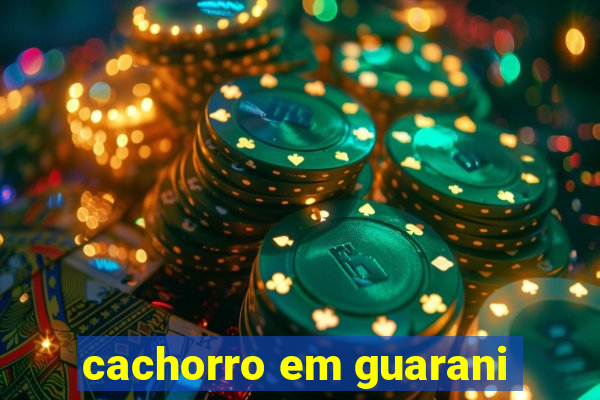 cachorro em guarani