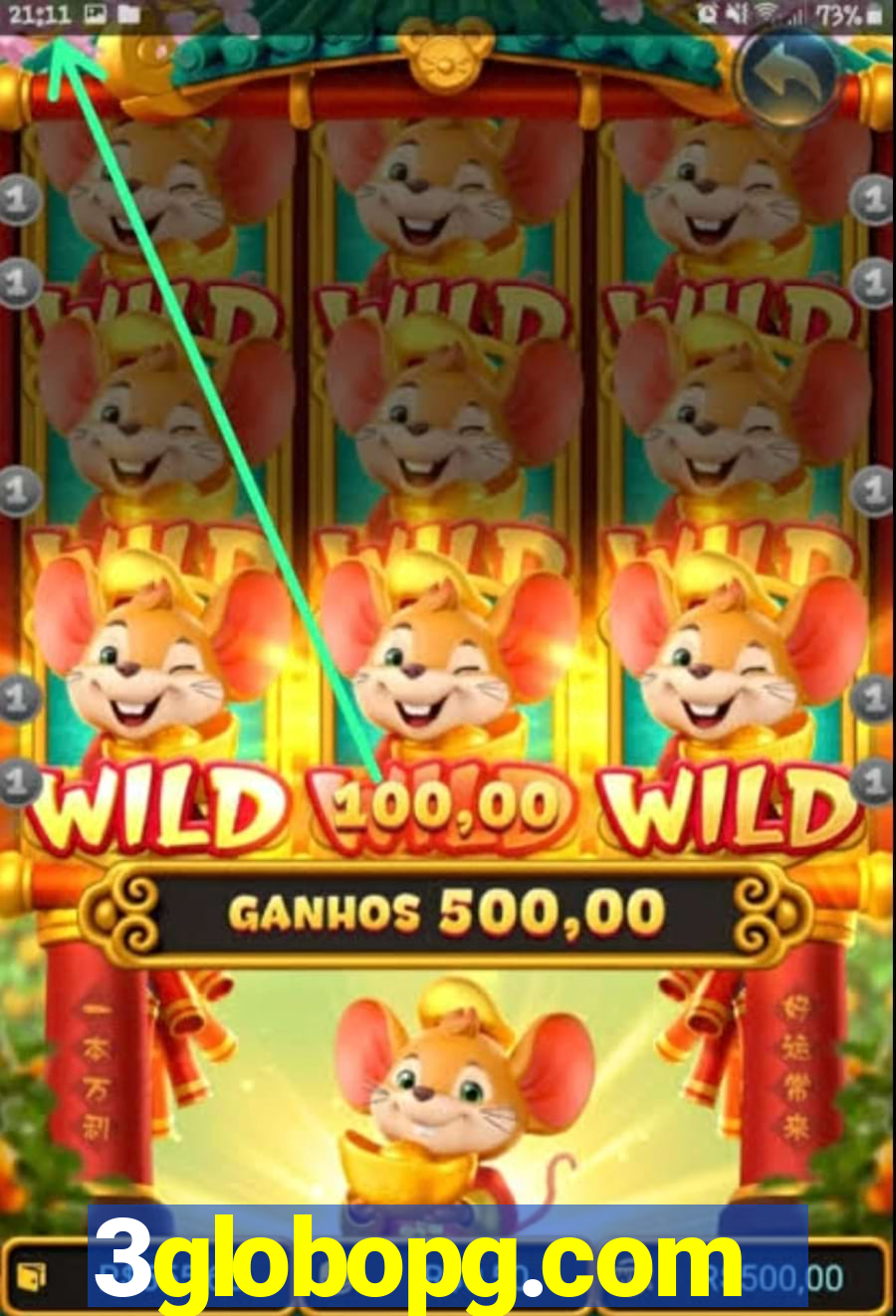 3globopg.com