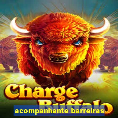 acompanhante barreiras