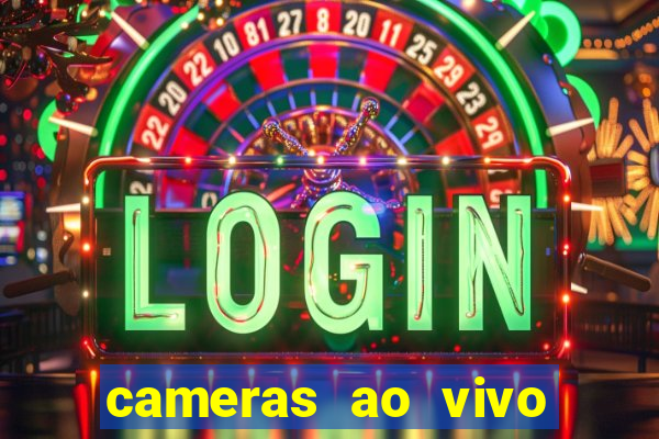 cameras ao vivo beto carrero