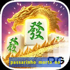 passarinho morto no quintal significado espiritual