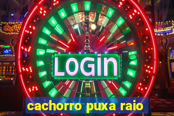 cachorro puxa raio