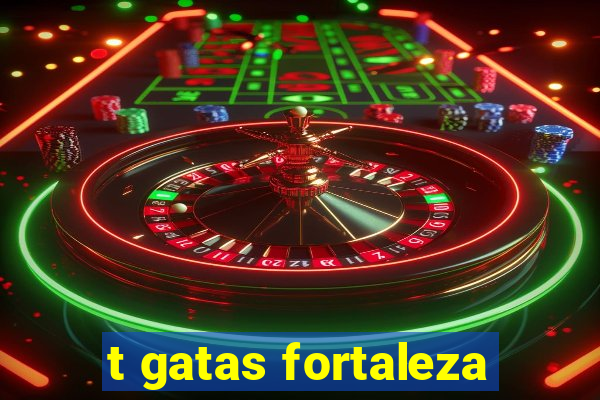 t gatas fortaleza