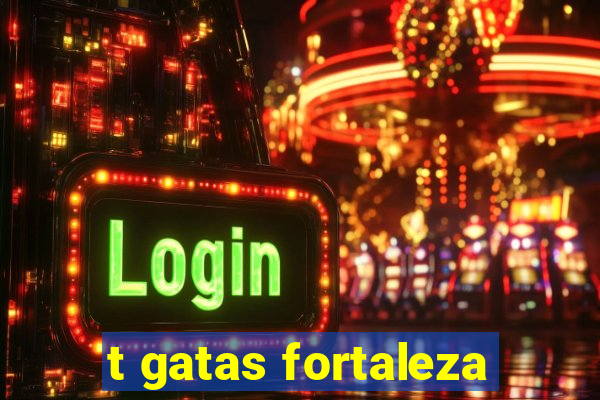 t gatas fortaleza