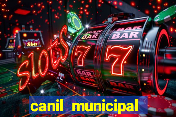 canil municipal porto alegre