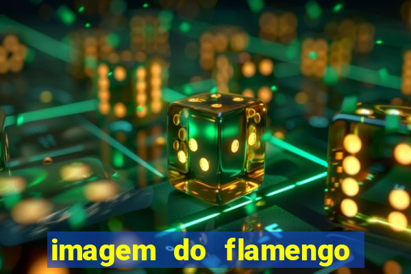 imagem do flamengo para perfil