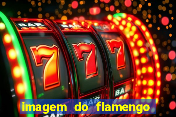 imagem do flamengo para perfil