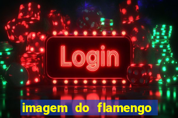 imagem do flamengo para perfil