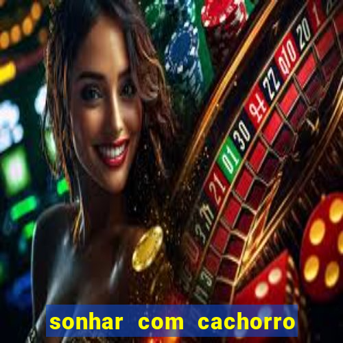 sonhar com cachorro morto jogo do bicho