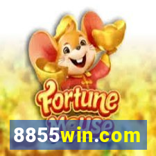 8855win.com