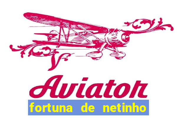 fortuna de netinho de paula
