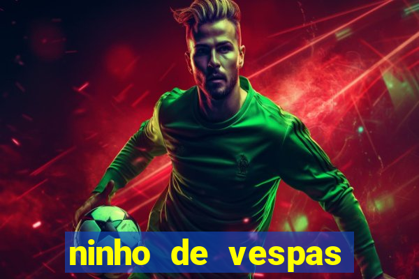 ninho de vespas significado espiritual