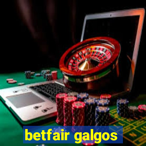 betfair galgos