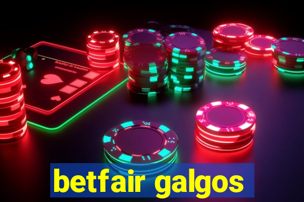 betfair galgos