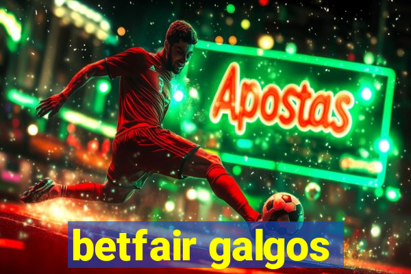 betfair galgos