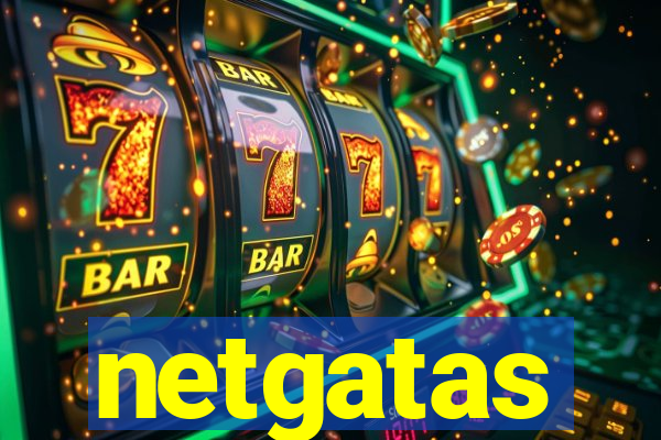 netgatas