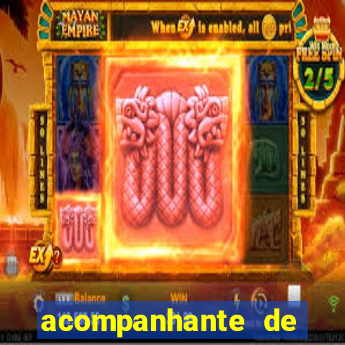 acompanhante de porto seguro