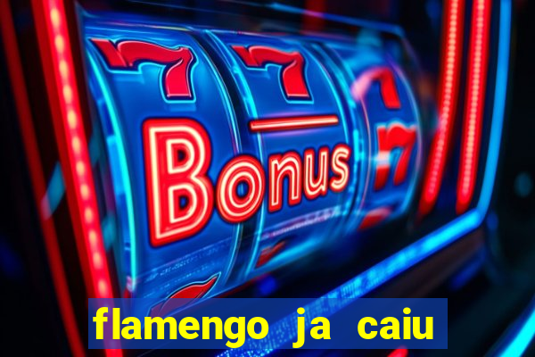 flamengo ja caiu para serie b