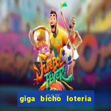 giga bicho loteria dos sonhos