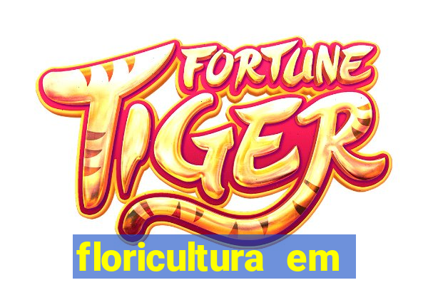 floricultura em franca sp