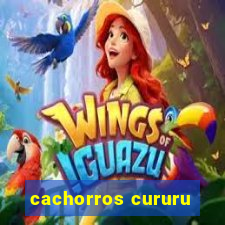 cachorros cururu