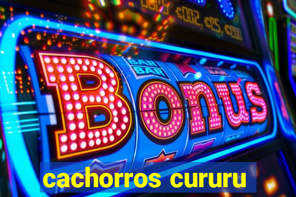 cachorros cururu