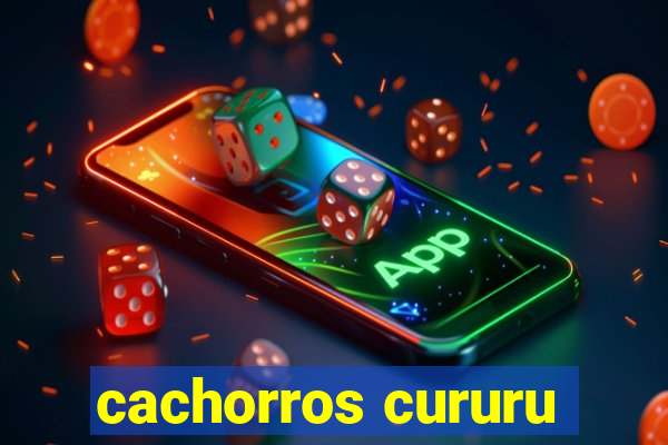 cachorros cururu