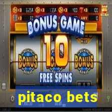 pitaco bets