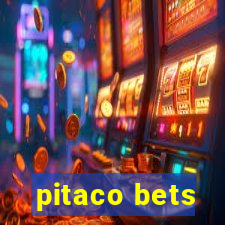 pitaco bets