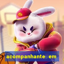 acompanhante em presidente prudente