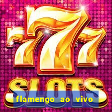 flamengo ao vivo multi canais