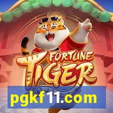 pgkf11.com