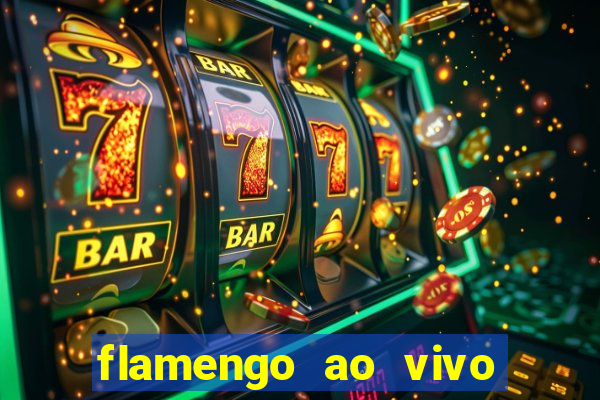 flamengo ao vivo multi tv