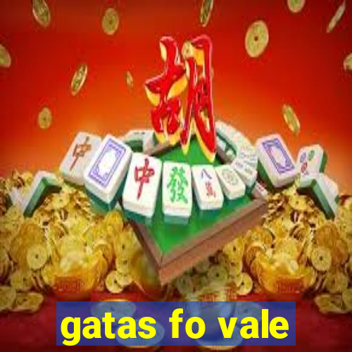 gatas fo vale