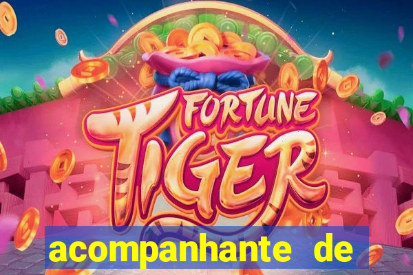 acompanhante de luxo jequié