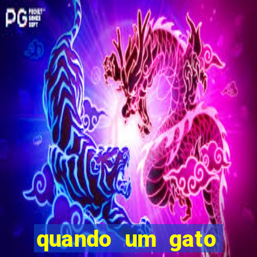 quando um gato aparece do nada significado espiritual