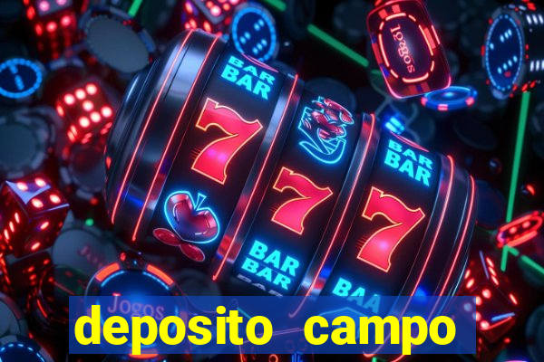 deposito campo grande santos