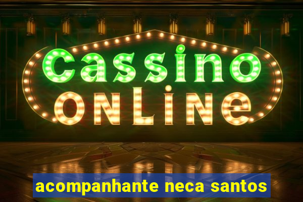 acompanhante neca santos