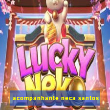 acompanhante neca santos