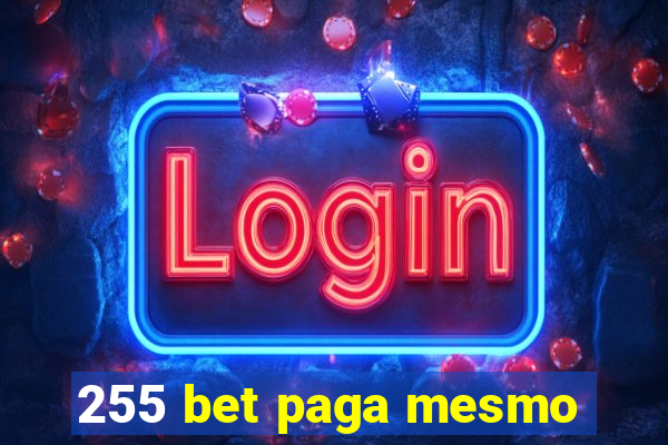 255 bet paga mesmo