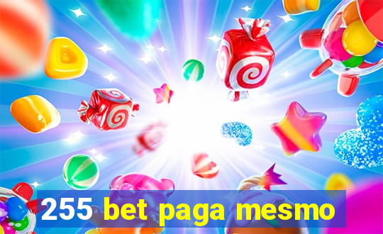 255 bet paga mesmo