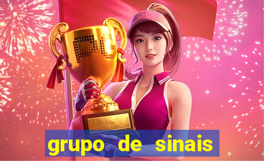 grupo de sinais trader telegram