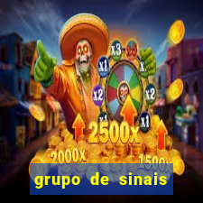 grupo de sinais trader telegram