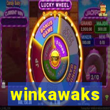 winkawaks