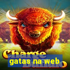 gatas na web