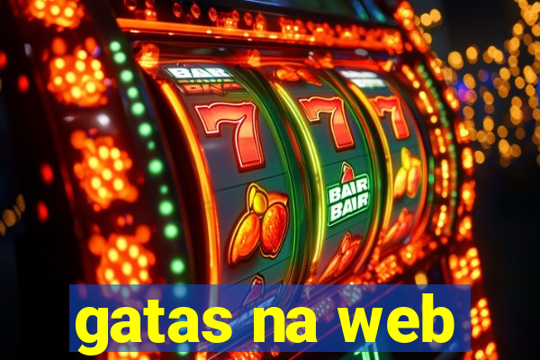 gatas na web