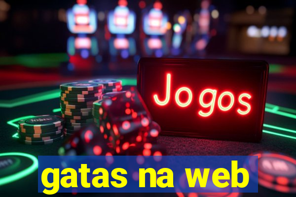 gatas na web