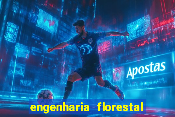 engenharia florestal ead cruzeiro do sul