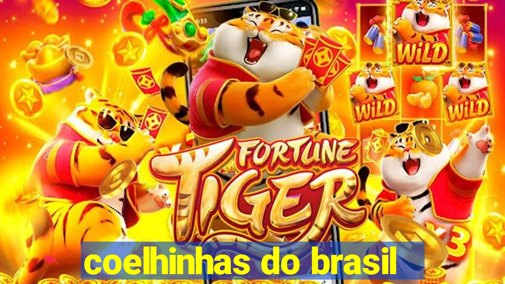 coelhinhas do brasil